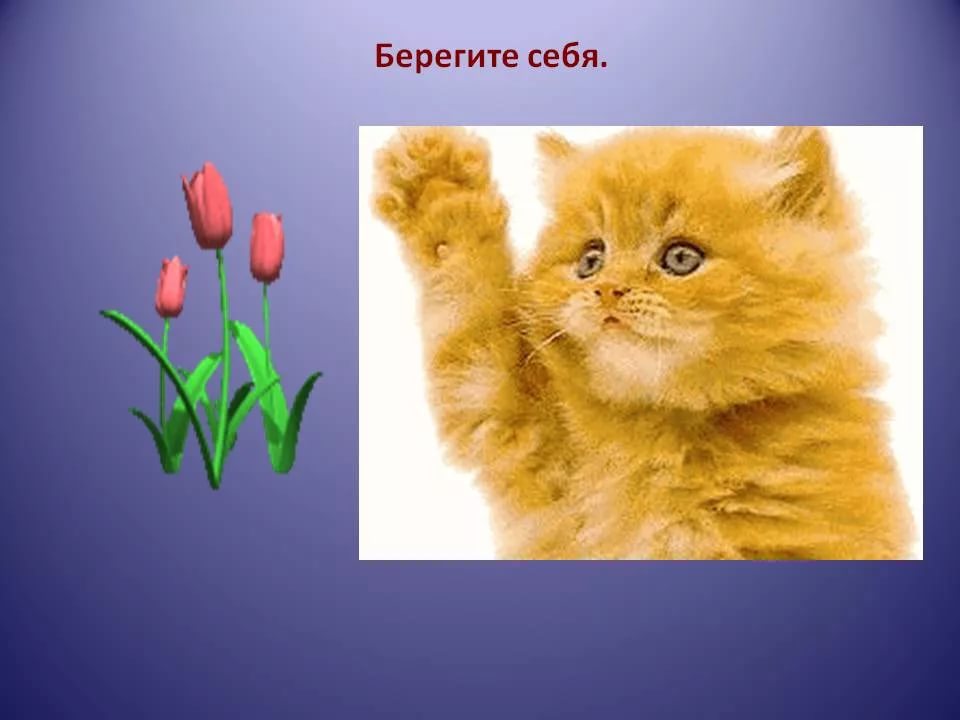 Рисунки береги себя