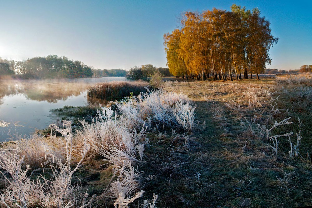 Первые морозы картинки. Первые Морозы. Заморозки природа. Первые заморозки в природе. Октябрь. Природа. Заморозки.